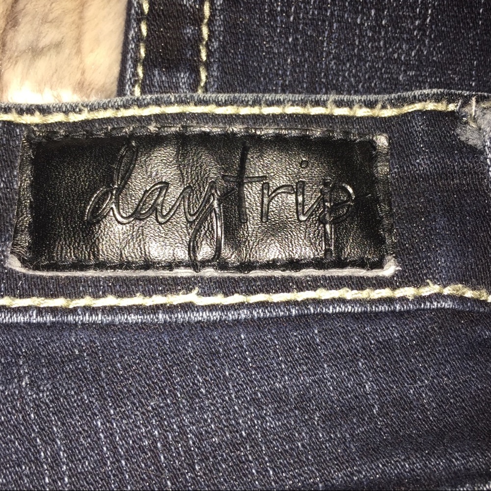 EUC Daytrip Aries Skinny Jeans from Buckle. 25L - Picture 6 of 8